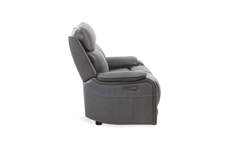 Brindle Power Leather Sofa