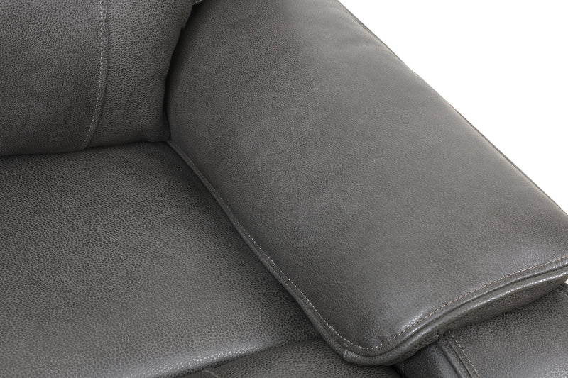Brindle Power Leather Sofa