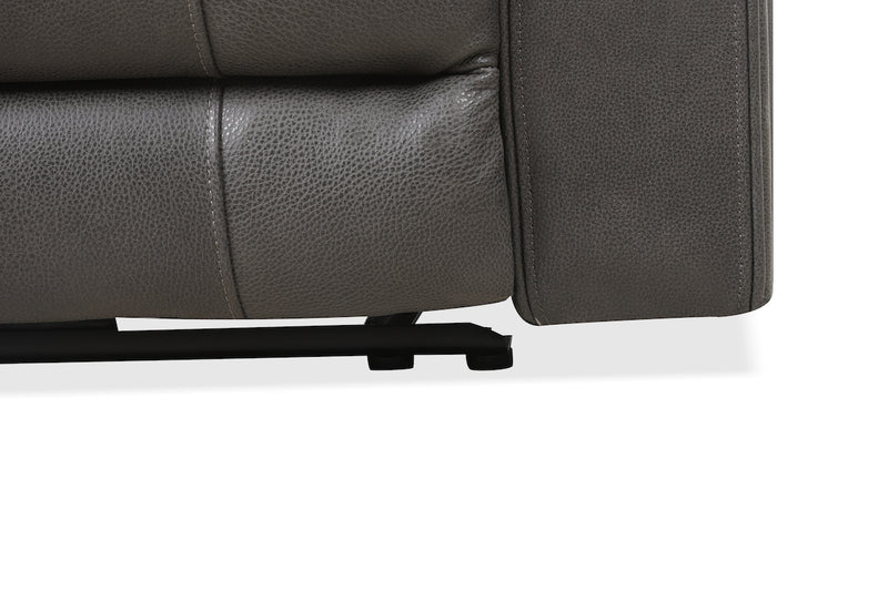 Brindle Power Leather Sofa
