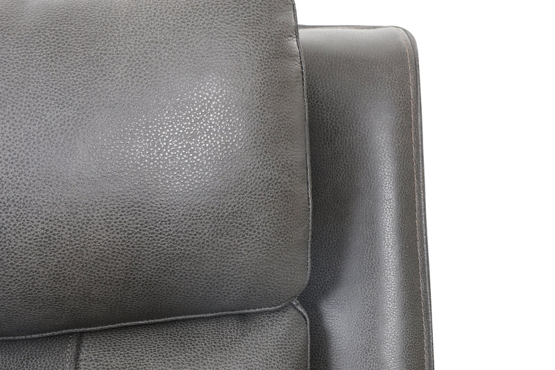 Brindle Power Leather Sofa