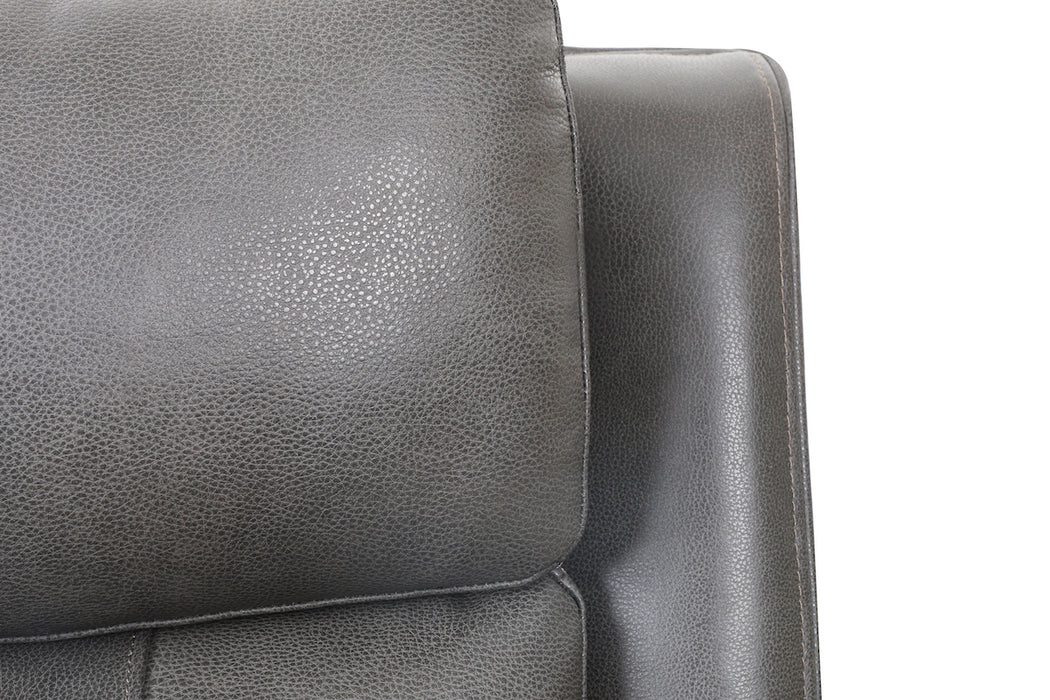 Brindle Power Leather Sofa