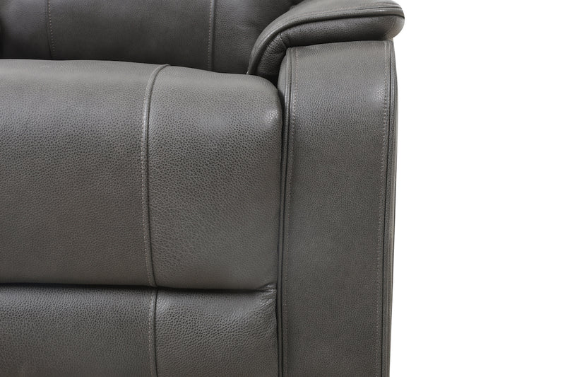Brindle Power Leather Sofa