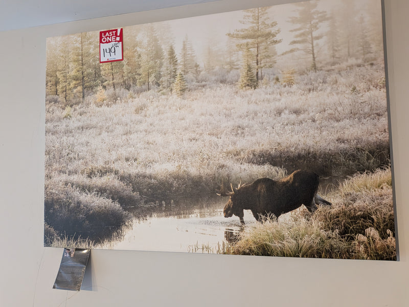 Wall Art