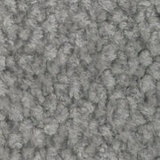 52906/02/17 : 52906S1