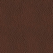PCU1210218