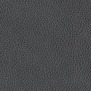 PCU1210013